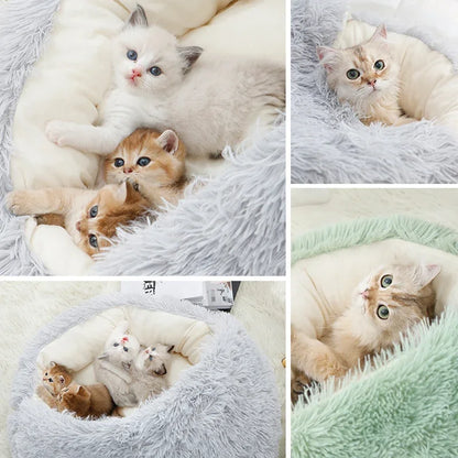 CozyPaws Winter Plush Nest